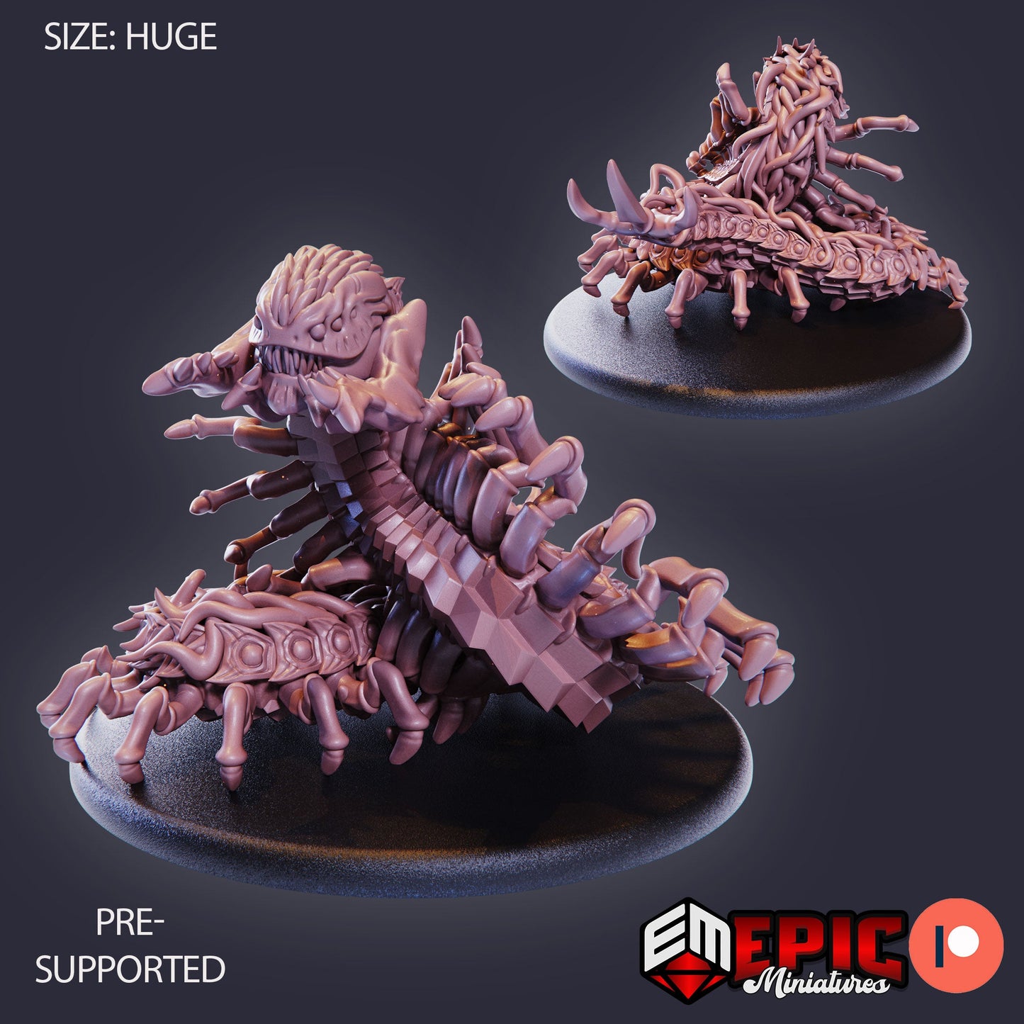Giant Centipede