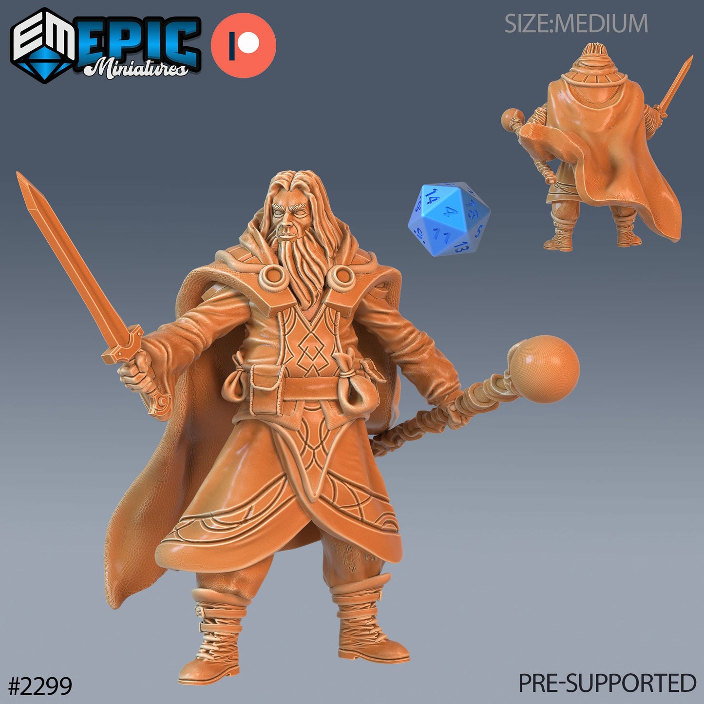 Human Wizard