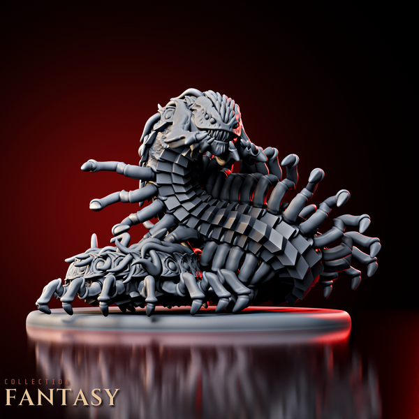 Giant Centipede
