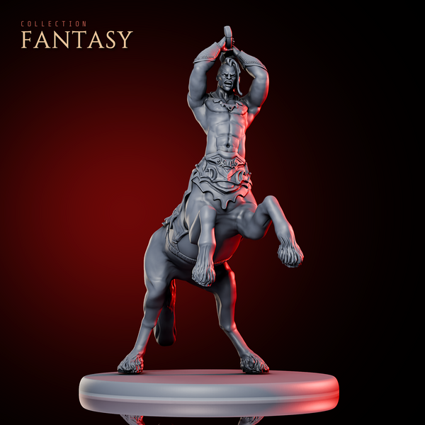 Centaur Swordsman