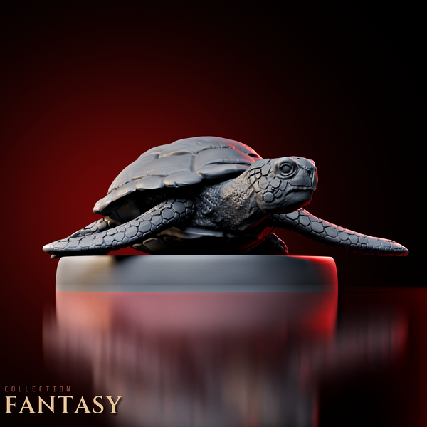 Giant Sea Turtle 1