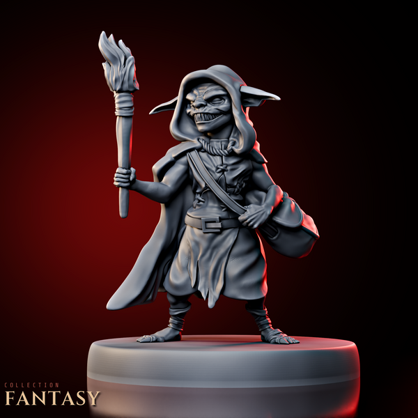 Goblin Adventurer