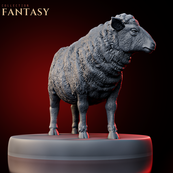 Sheep 1