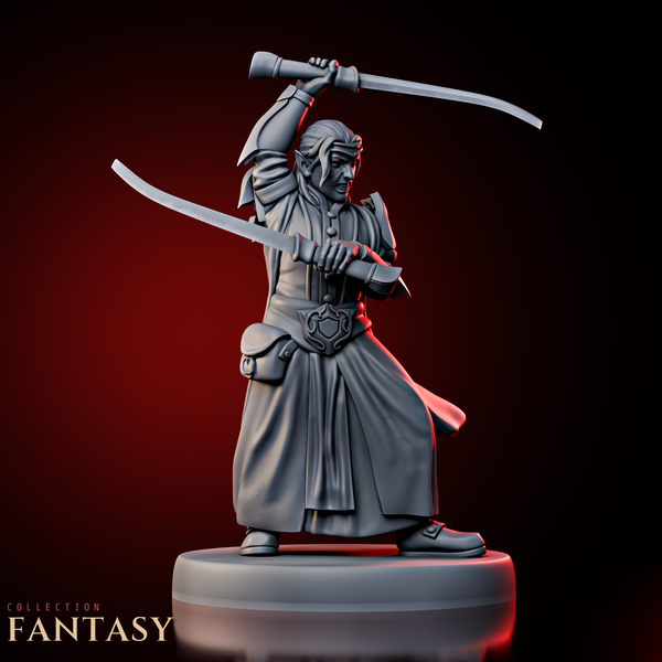 High Elf Swordsman