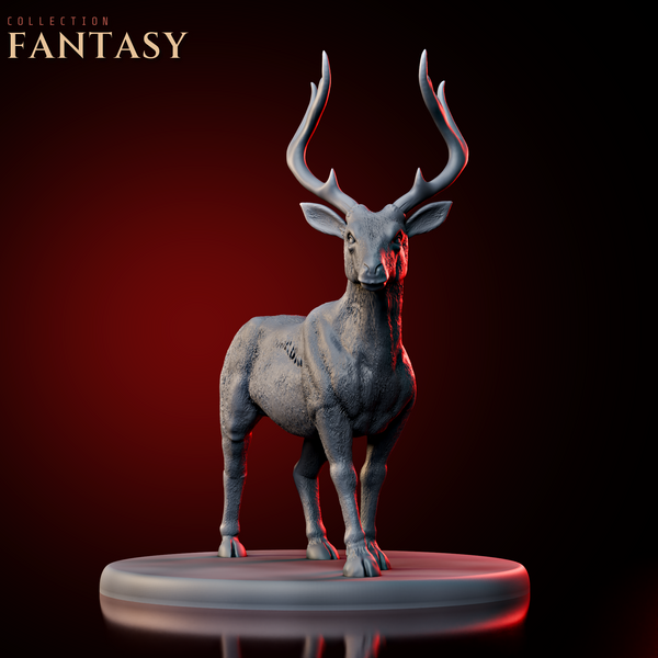 Deer 1