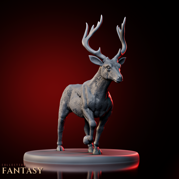 Deer 2