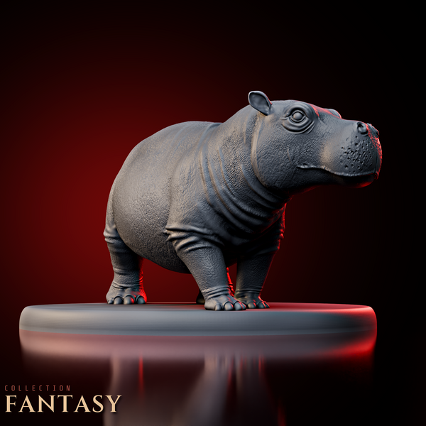 Hippopotamus 1