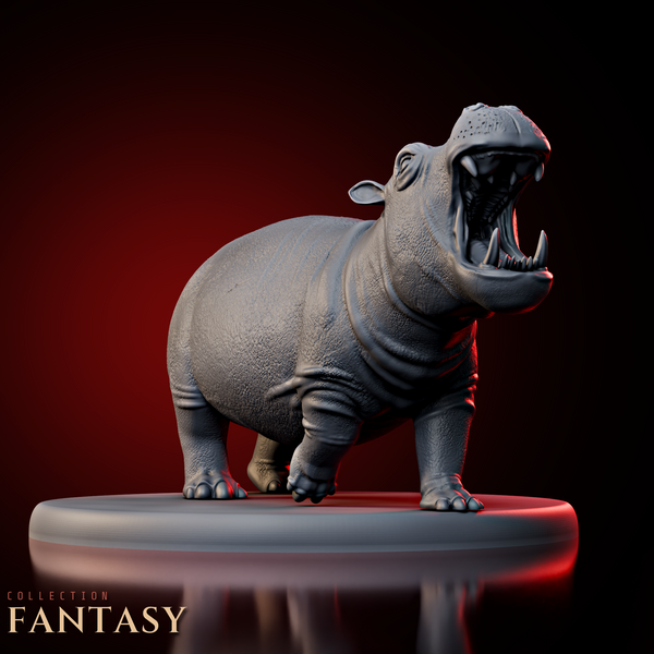 Hippopotamus 2