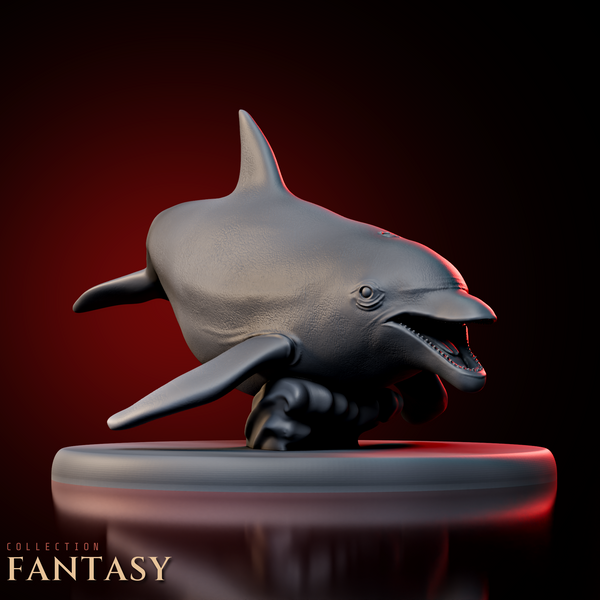 Dolphin 1