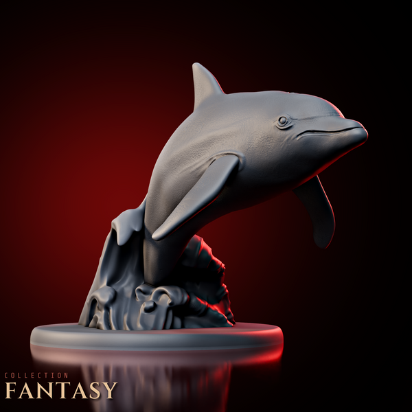 Dolphin 2
