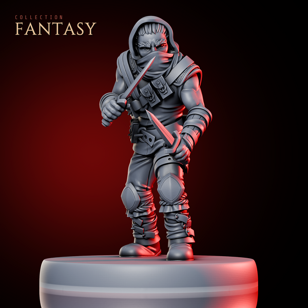 Bandit Rogue