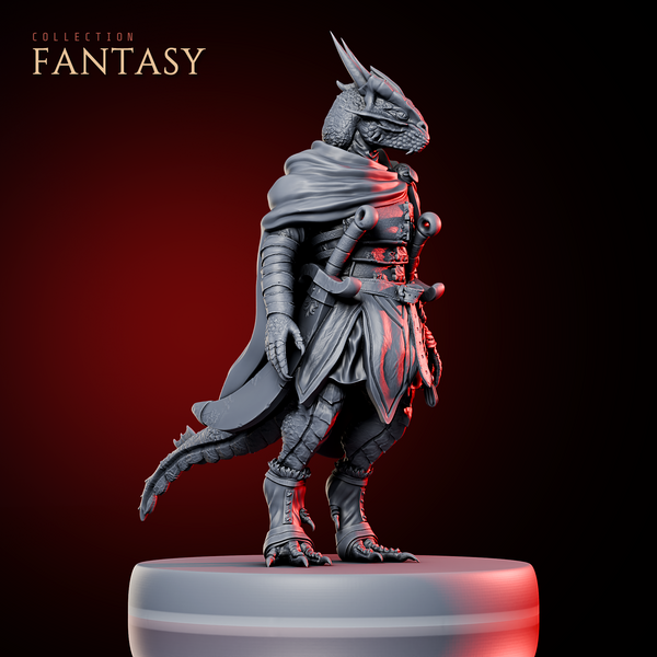 Dragonborn Adventurer 1