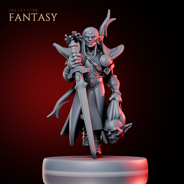 Elf Paladin