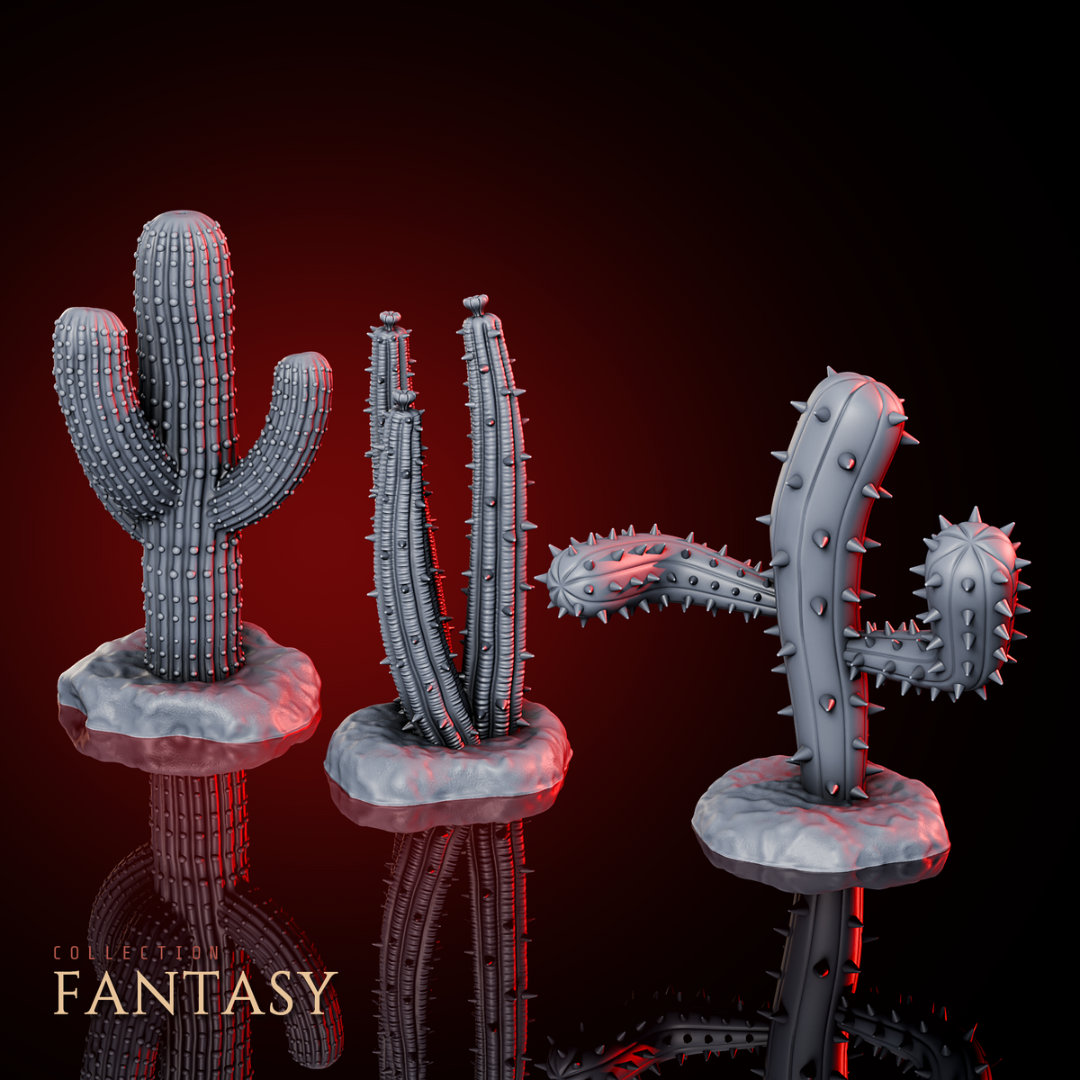 Cactuses Pack