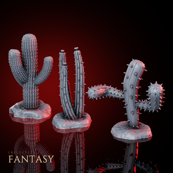 Cactuses Pack
