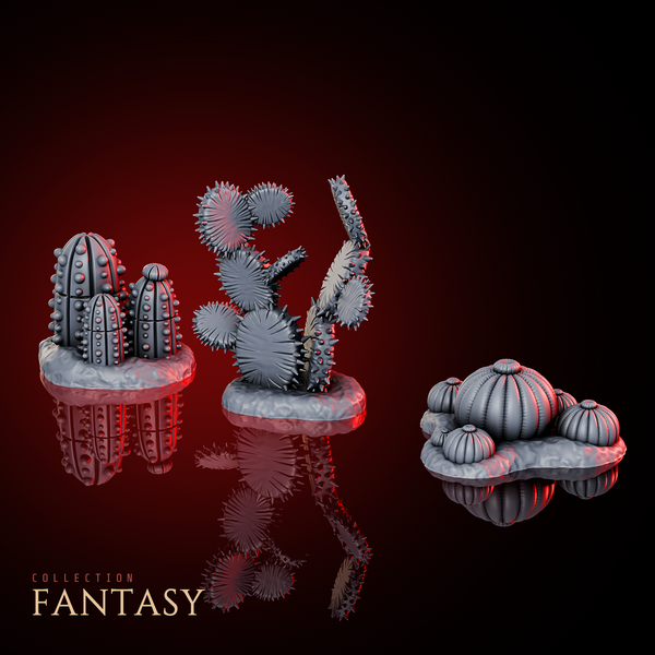 Small Cactuses Pack