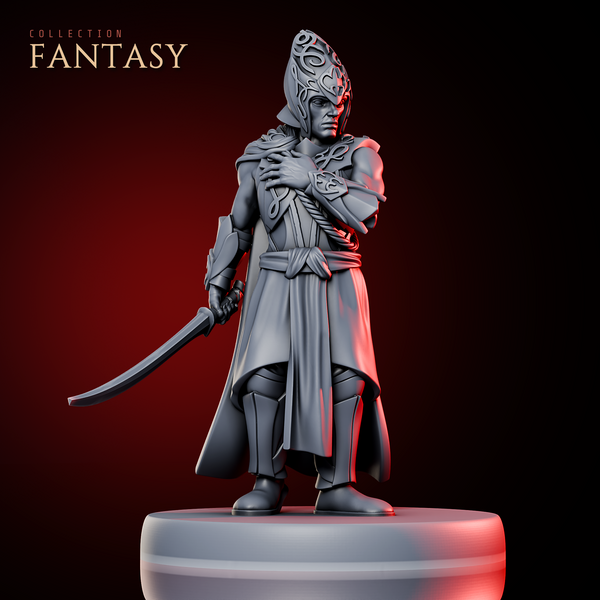 High Elf Duelist
