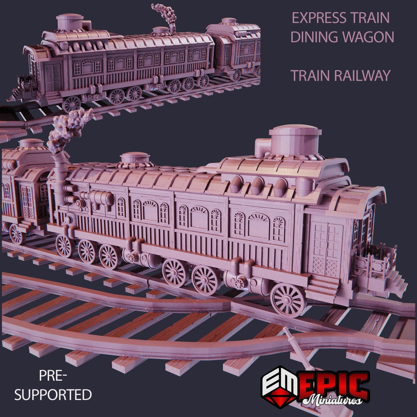 Express Train Dining Wagon & Railway
