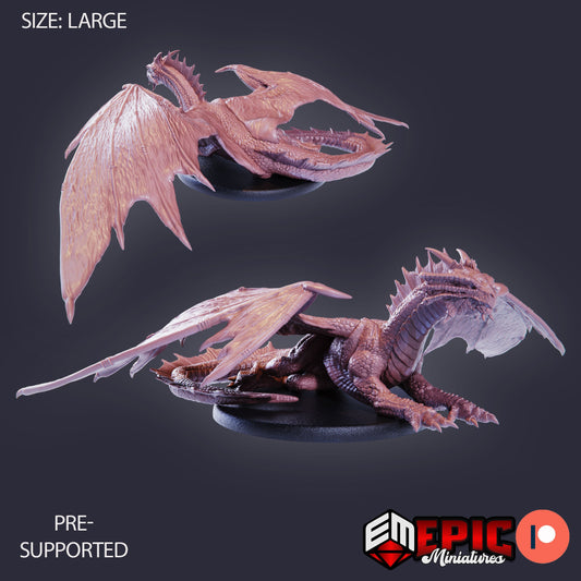 Young Bronze Dragon