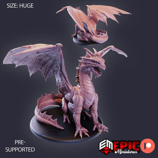 Adult Bronze Dragon
