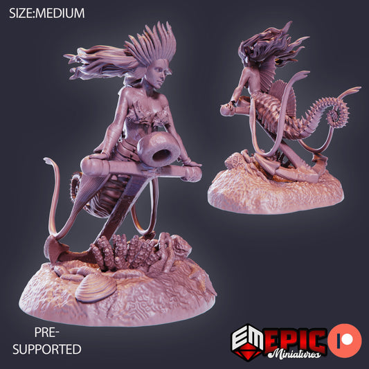 Seahorse Mermaid