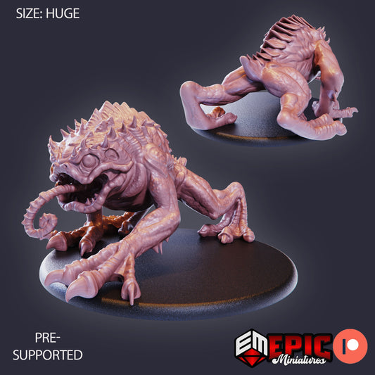 Dire Toad