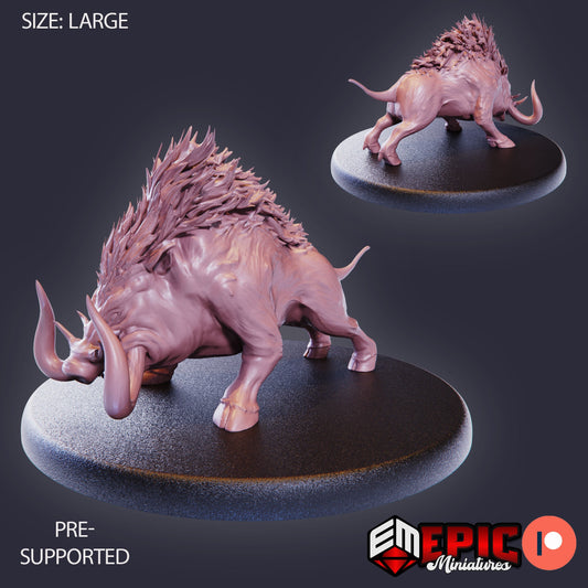 Forest Boar