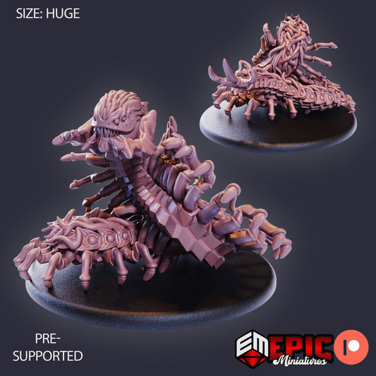 Giant Centipede
