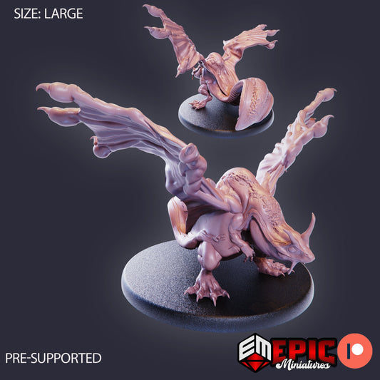 Frog Dragon
