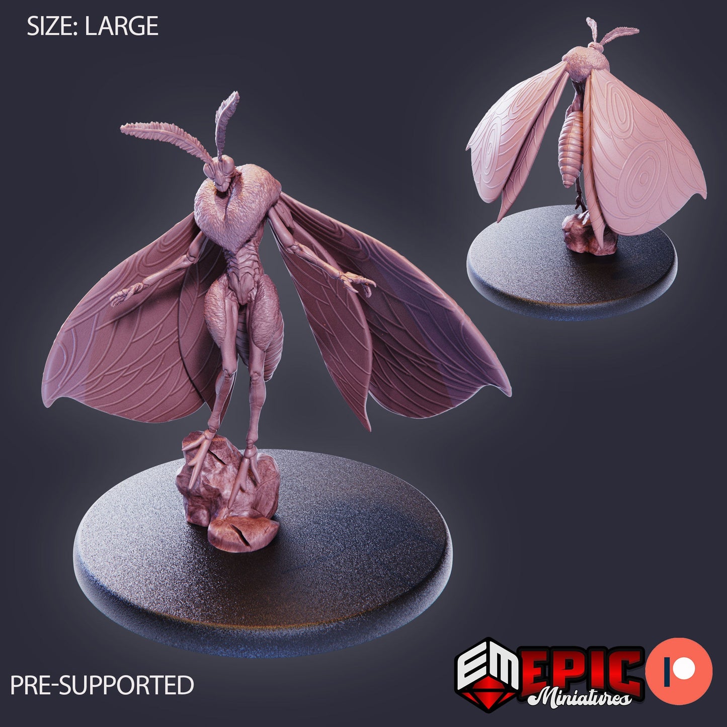Moth Queen 1