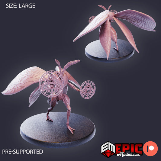 Moth Queen 2