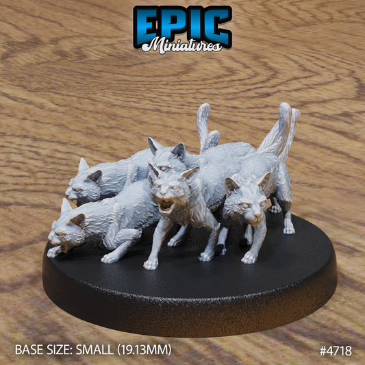Cat Swarm 1
