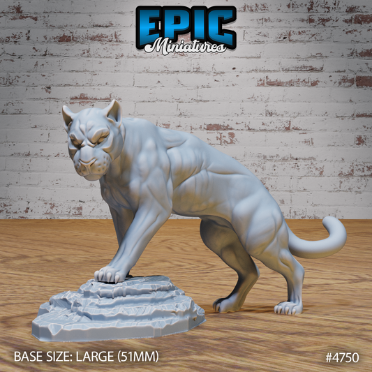 Panther
