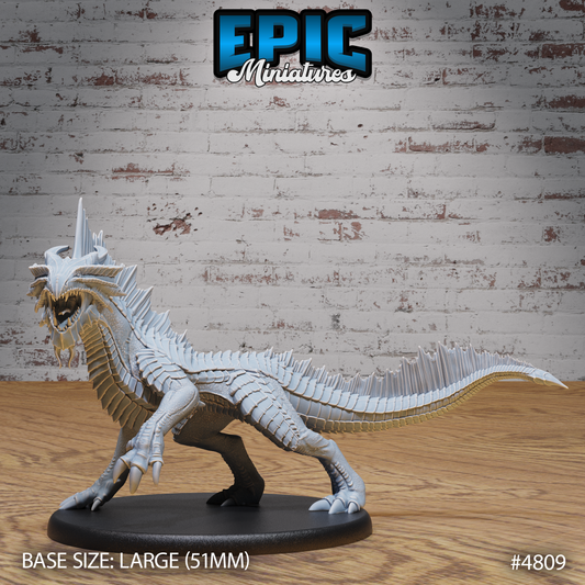 Guard Drake 2