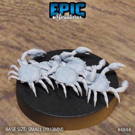 Crab Swarm 1