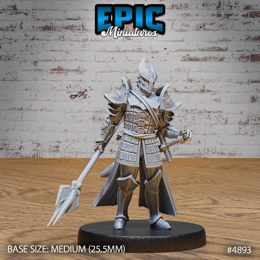 Paladin 1