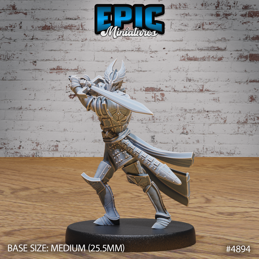 Paladin 2