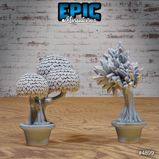 Eastern Temple Bonsai Trees 2 Pack