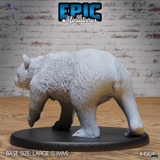 Panda Bear 1