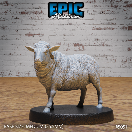 Sheep 1