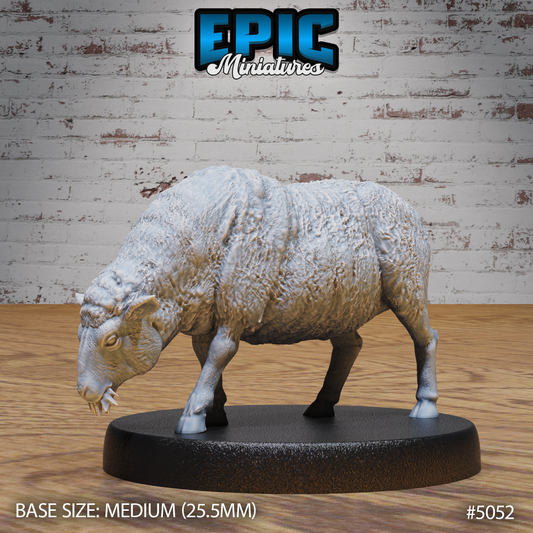 Sheep 2