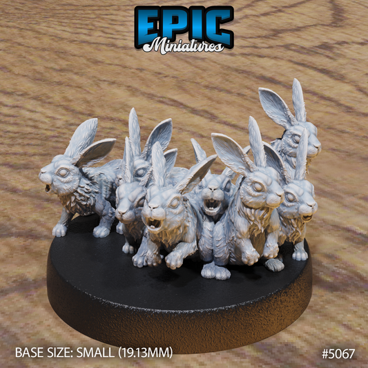 Rabbit Swarm 1