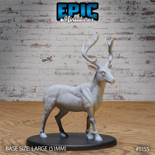 Deer 1