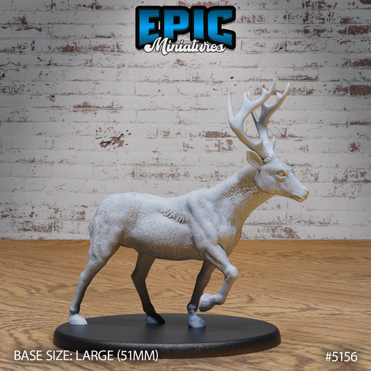 Deer 2