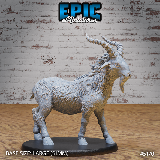 Giant Alpine Goat