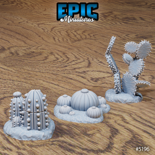 Small Cactuses Pack
