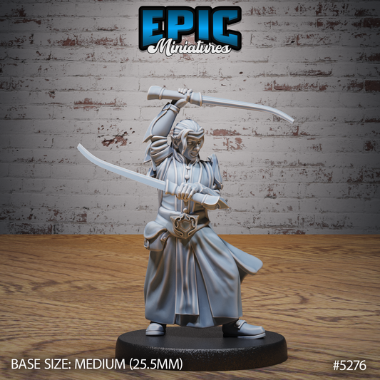 High Elf Swordsman