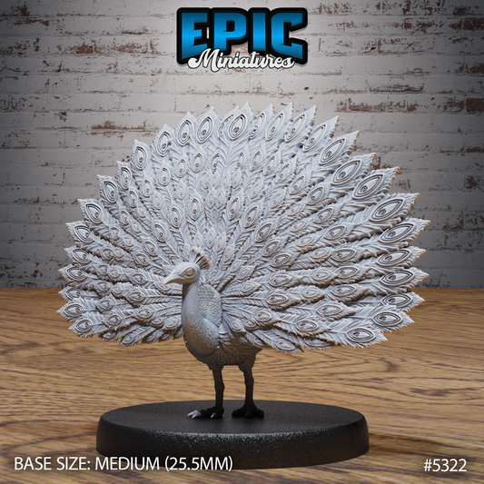 Peacock 2