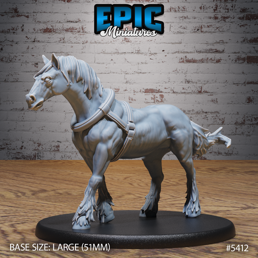 Horse 2