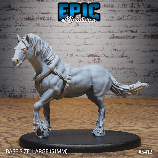 Horse 1